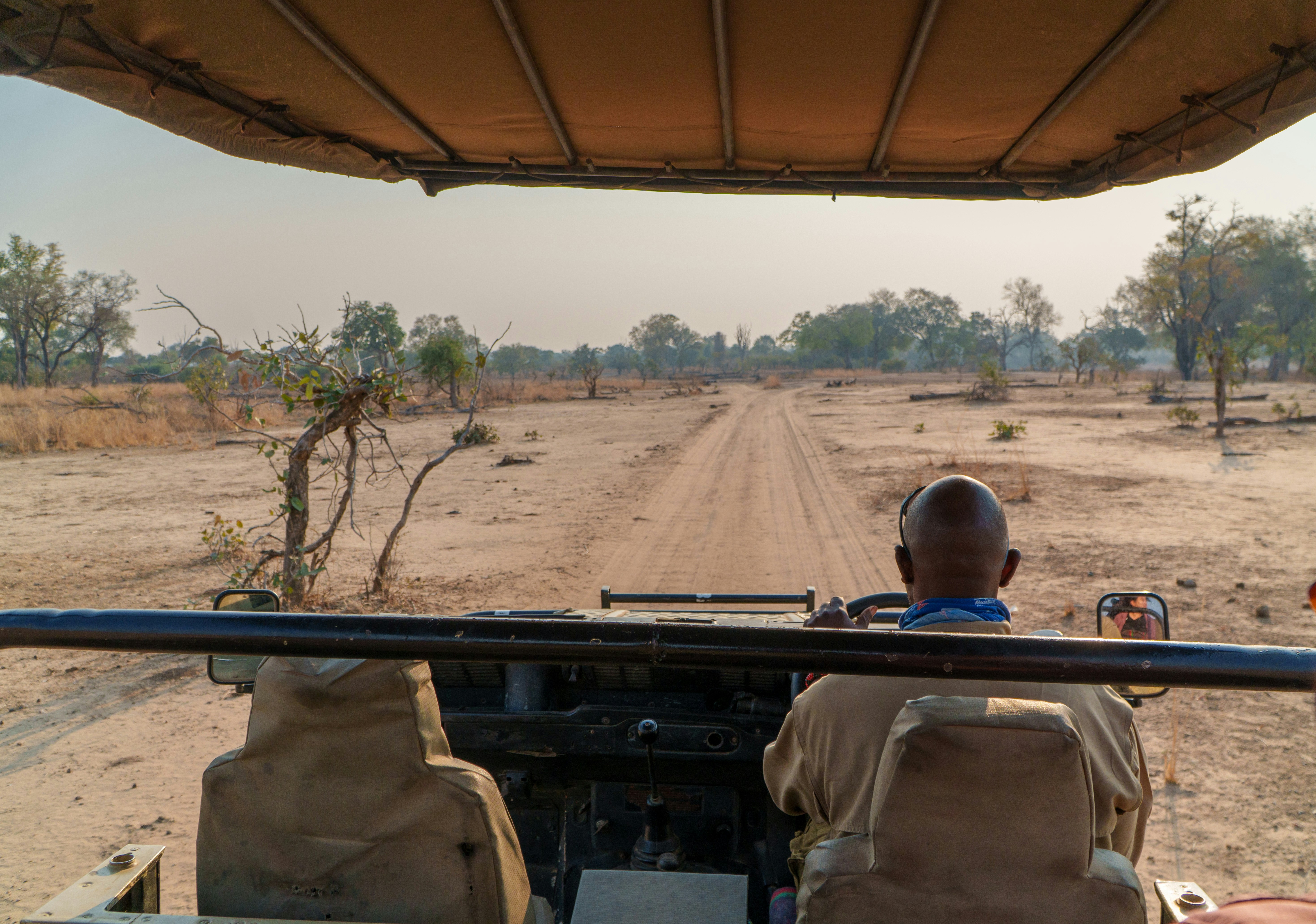 Safari Cruiser